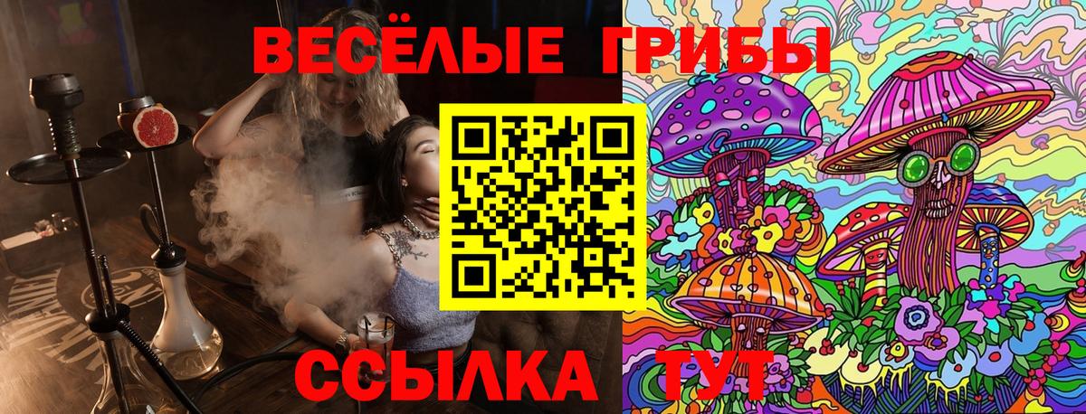 Сосновоборск  дарнет шоп  Вход с VPN  Галлюциногенные грибы Cubensis 