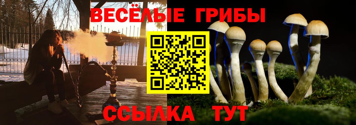 Галлюциногенные грибы прущие грибы Сосновоборск