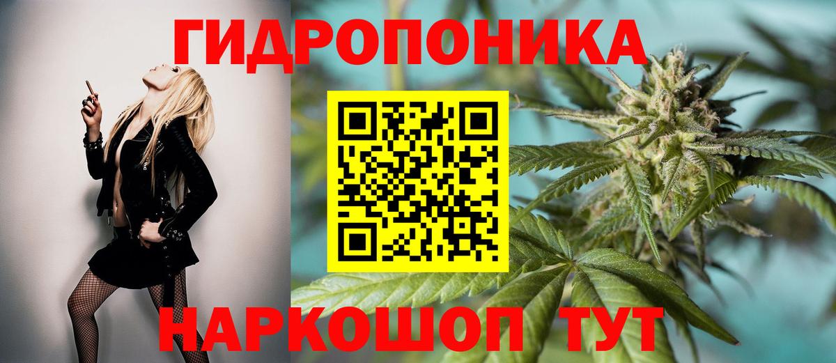 Сосновоборск  Бошки марихуана план  Марихуана Bruce Banner  Вход с VPN  Шишки марихуана Bruce Banner 